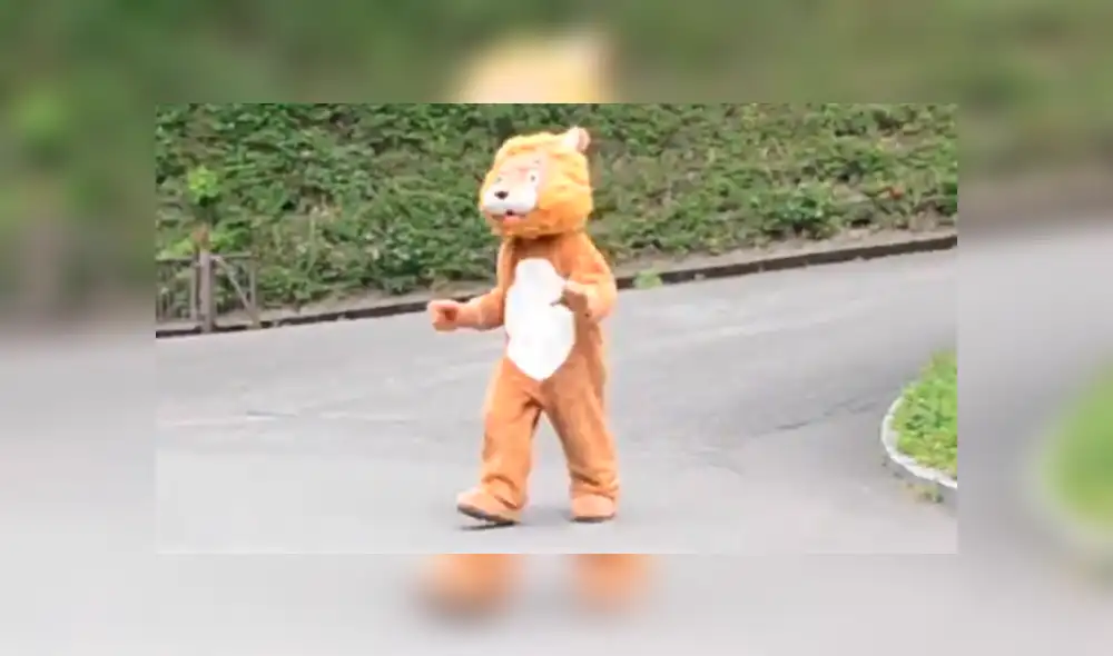 Trabajador de un zoológico ingresó al santuario de leones. Trabajador de un zoológico ingresó al santuario de leones.