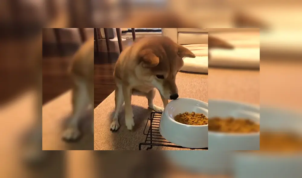 Desliza para ver el desenlace de este video viral publicado en YouTube. Foto: Captura.