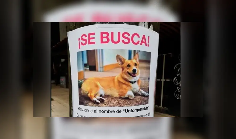 Facebook viral: docente peruano usa insólita ‘estrategia’ para ganar alumnos a su clase de inglés