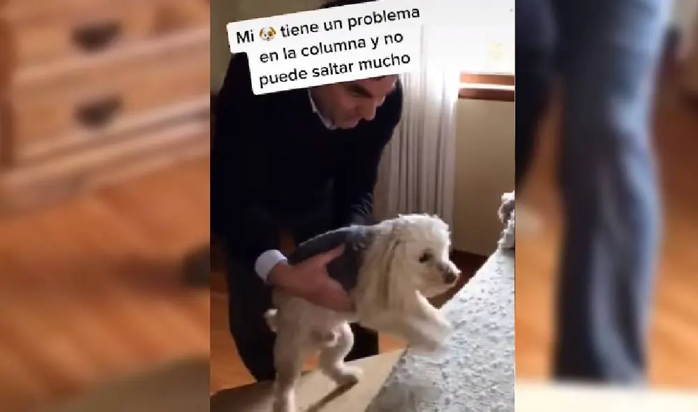 Las imágenes del video han cautivado a miles de usuarios en las redes sociales. Foto: Facebook/TikTok/@manebarbieri