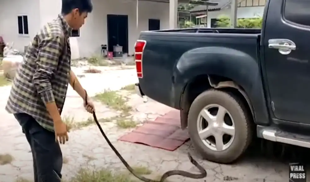 Desliza hacia la izquierda para ver las imágenes del viral de YouTube. Foto: Viral Press.