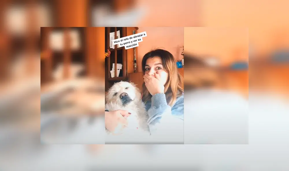 Desliza las imágenes para conocer el amoroso comportamiento de un perro al recibir un abrazo de su dueña. Foto: Captura.