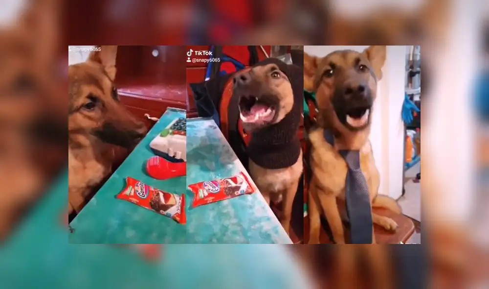 Desliza para ver los detalles de este gracioso video que es un éxito en YouTube. Foto: Captura. Desliza para ver los detalles de este gracioso video que es un éxito en YouTube. Foto: Captura.