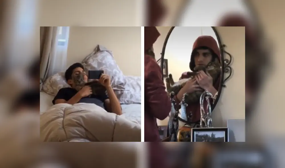 Desliza las imágenes para observar el amoroso momento que captó una joven de su gata junto a su novio. Fotocaptura: Facebook. Desliza las imágenes para observar el amoroso momento que captó una joven de su gata junto a su novio. Fotocaptura: Facebook.