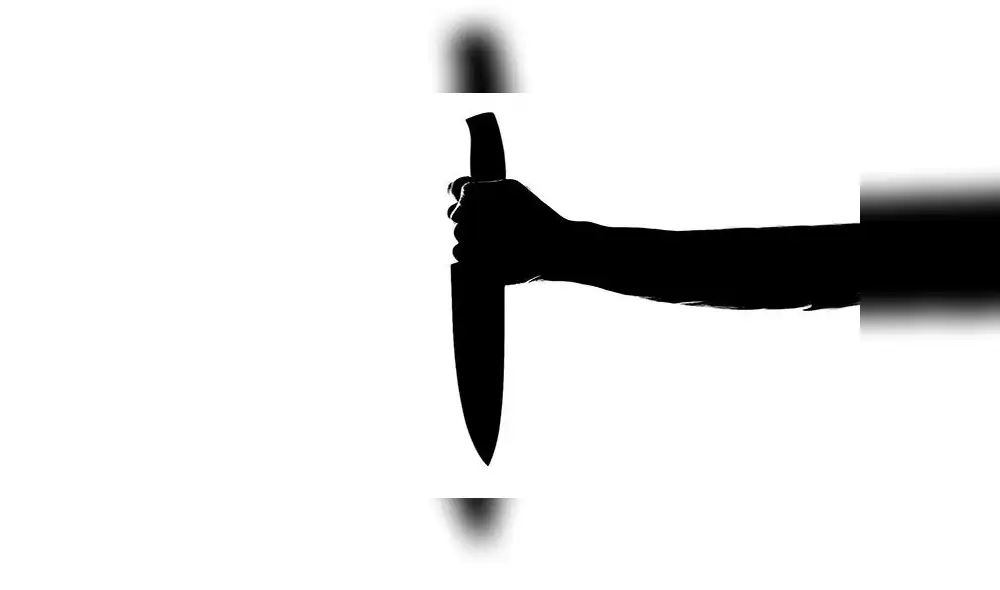 De hasta 20 centímetros fue el tamaño de la herida que sufrió el suegro. Foto: Pixabay De hasta 20 centímetros fue el tamaño de la herida que sufrió el suegro. Foto: Pixabay