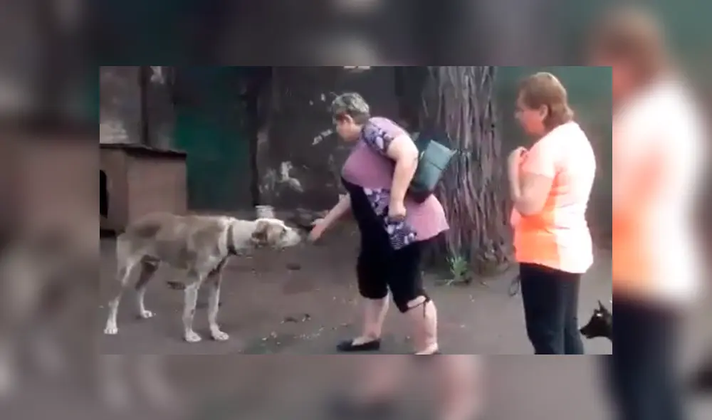 Conmovedor reencuentro de un perro con su dueña hace llorar a usuarios.