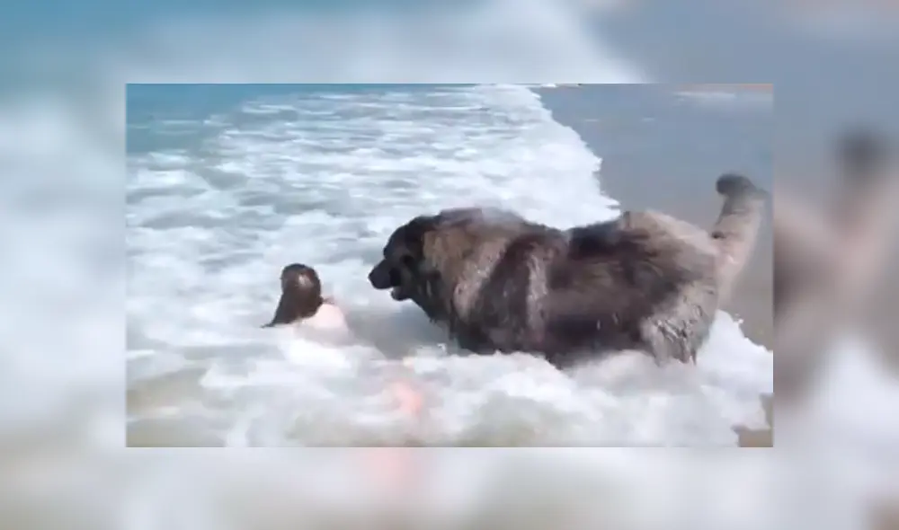 Desliza hacia la izquierda para ver más del video viral. Fotocaptura: Twitter