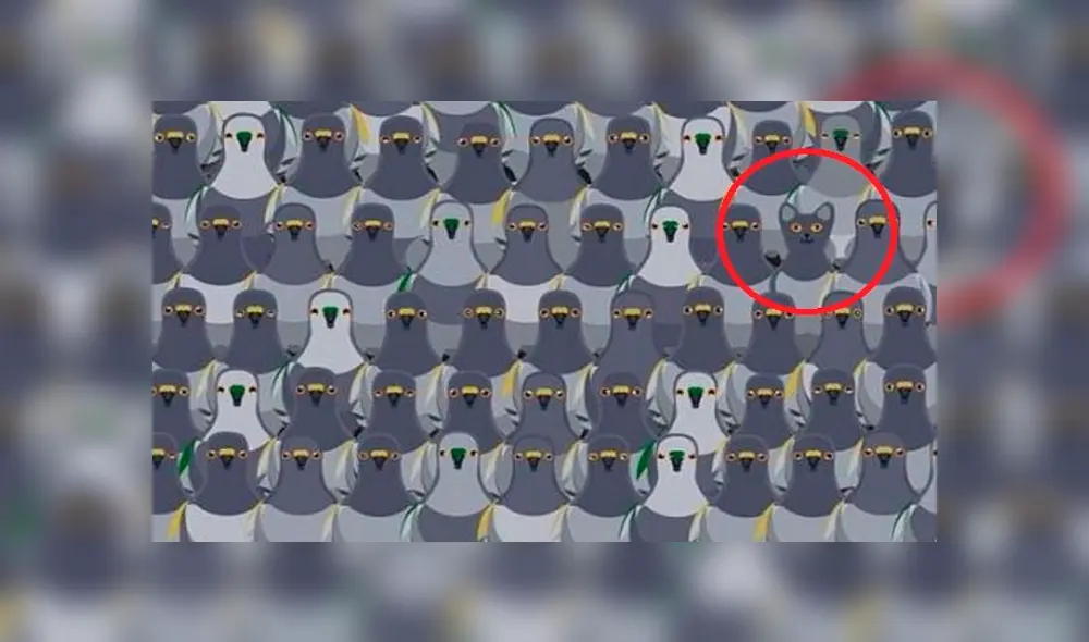 Hallar al gato escondido en la figura: nuevo reto viral genera furor en redes sociales [FOTOS]