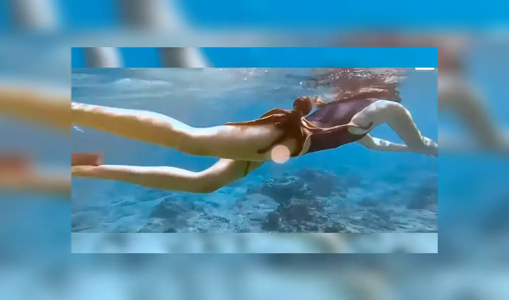 Video viral de YouTube muestra el preciso momento en que un pulpo se topa con una joven y se adhiere a su muslo derecho