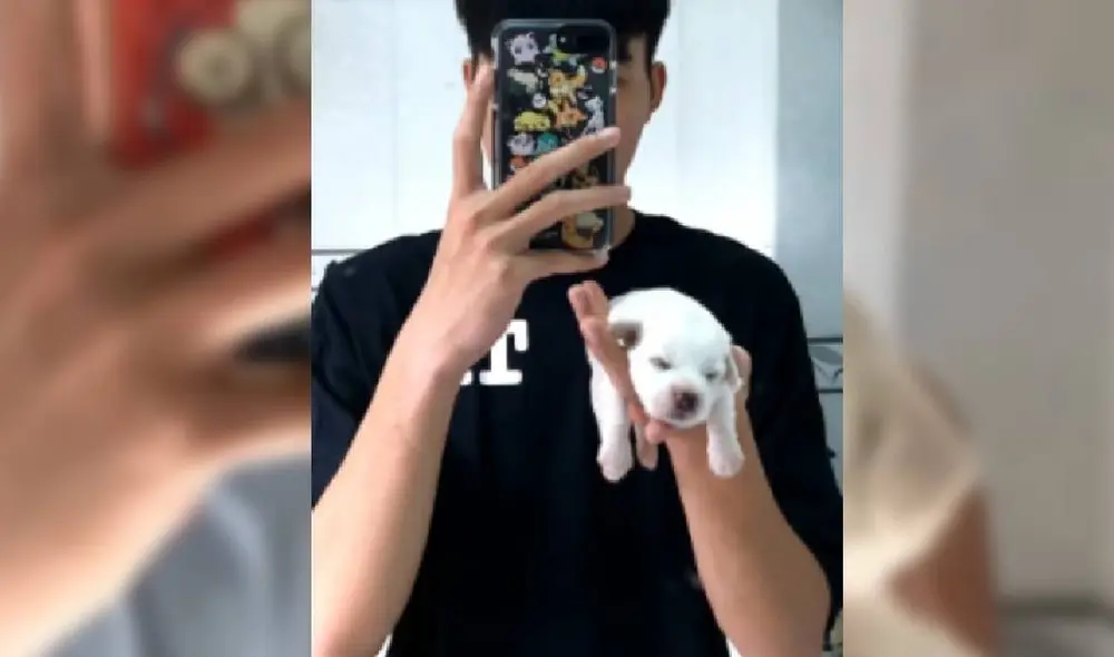 El video de Facebook muestra el crecimiento de la mascota durante dos meses. Foto: Captura/Facebook/Tấn Phát