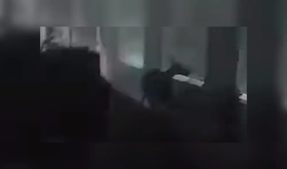 YouTube viral: Chica oye extraños ruidos, llama a policías y descubren misteriosa criatura [VIDEO]