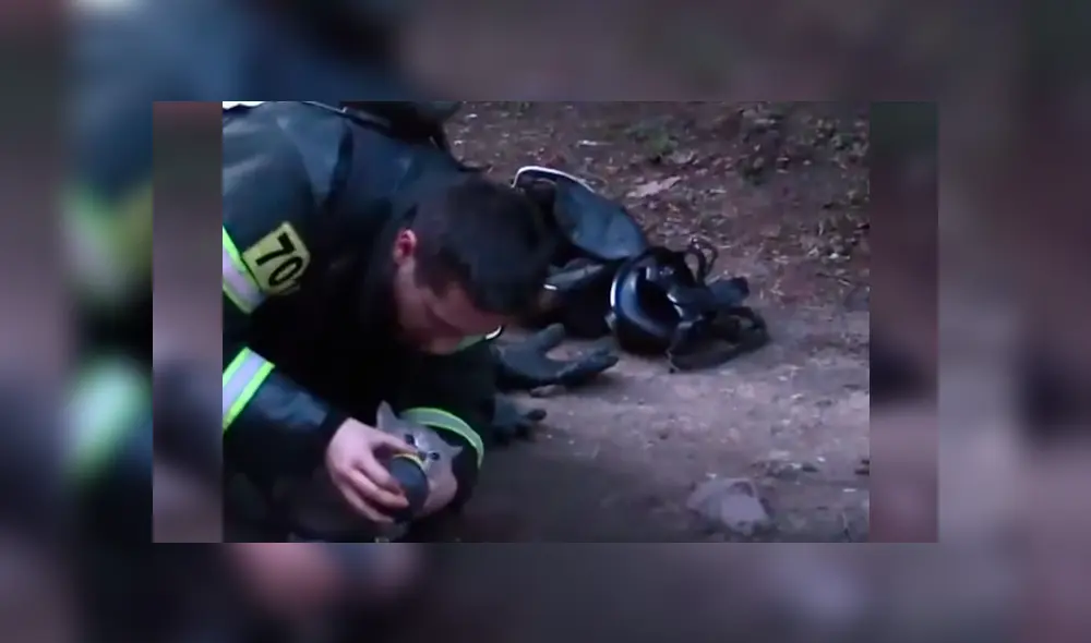 Video es viral en Facebook. El hombre hizo lo posible por rehabilitar al pequeño gato, que no mostraba señales de vida Video es viral en Facebook. El hombre hizo lo posible por rehabilitar al pequeño gato, que no mostraba señales de vida
