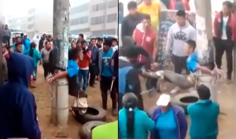 El joven señaló que era su primera vez robando. (Foto: Captura video)