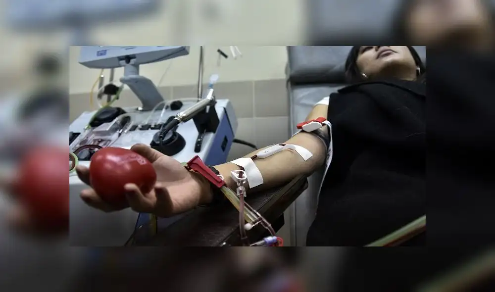 A recovered novel coronavirus patient donates blood samples for plasma extraction at Hemocentro blood bank in La Paz, on June 10, 2020. - In addition to state efforts, private entities, including football teams, are developing campaigns to "reward" those recovered COVID-19 patients to give their plasma for free to the treatment of other patients after the Health Ministry projected that by the end of July Bolivia could register up to 100,000 people infected with coronavirus and 4,000 to 7,000 deaths. (Photo by AIZAR RALDES / AFP) A recovered novel coronavirus patient donates blood samples for plasma extraction at Hemocentro blood bank in La Paz, on June 10, 2020. - In addition to state efforts, private entities, including football teams, are developing campaigns to "reward" those recovered COVID-19 patients to give their plasma for free to the treatment of other patients after the Health Ministry projected that by the end of July Bolivia could register up to 100,000 people infected with coronavirus and 4,000 to 7,000 deaths. (Photo by AIZAR RALDES / AFP)