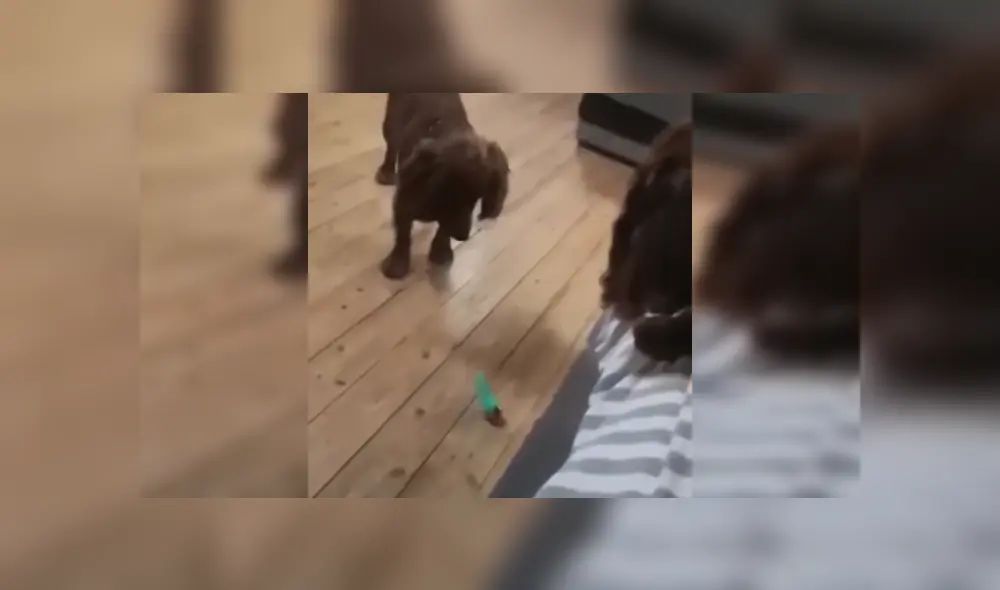 Desliza las imágenes para ver más detalles de esta divertida escena que es viral en Facebook.