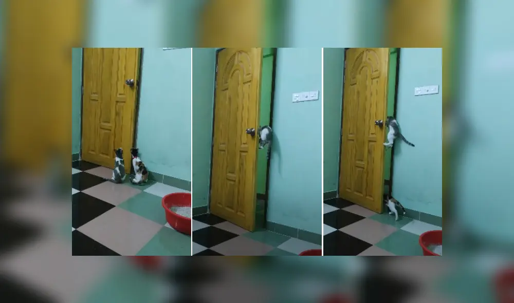 Desliza las imágenes para ver más detalles sobre esta escena que es viral en youTube. (Foto: captura)