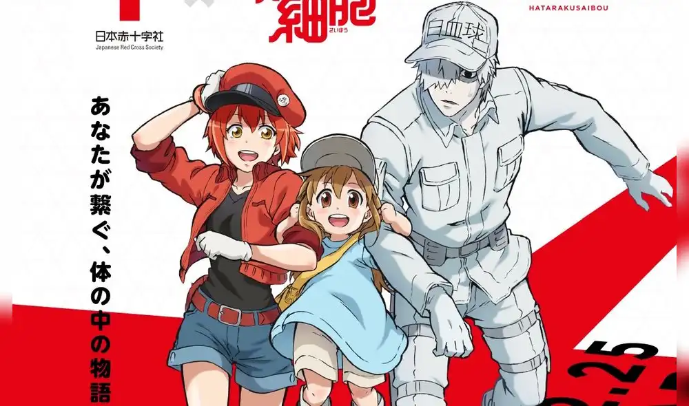 Cells at Work (Temporada 2) Cells at Work (Temporada 2)