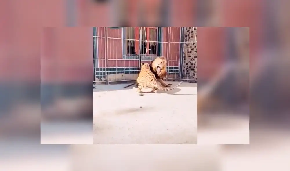 Desliza la imagen de YouTube para verlas todas. Foto: captura