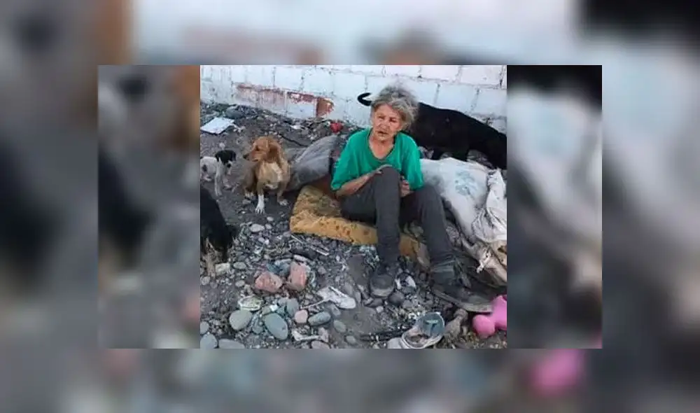 Internan a anciana que vivía en un basurero: estaba desnutrida y deshidratada [FOTOS]