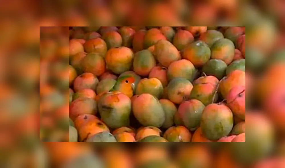 Desliza para ver los detalles del reto visual que es viral en Facebook. Foto: Captura.