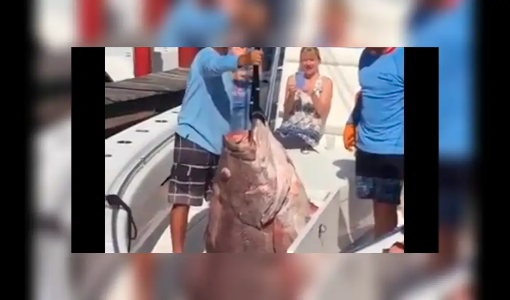 YouTube viral: pescadores quedan aterrados al ver misteriosa criatura que salió del océano [VIDEO]