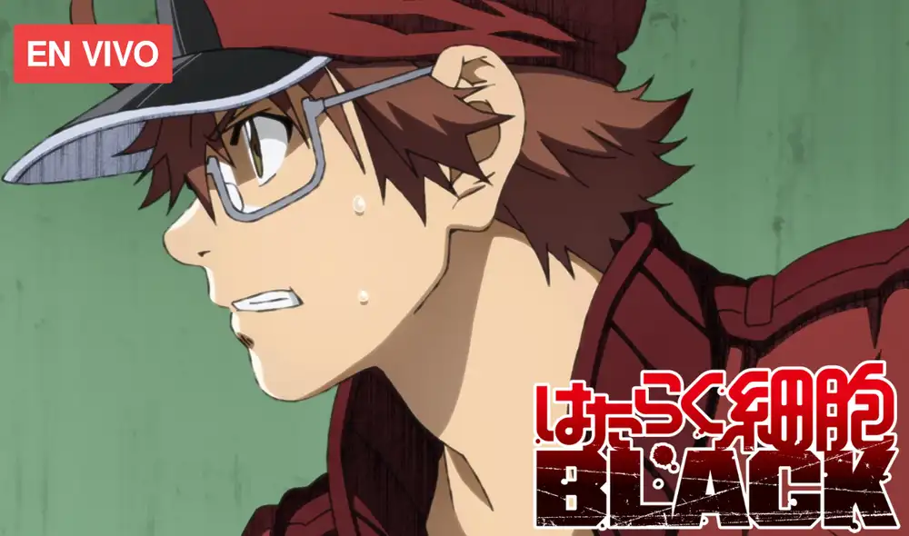 No te pierdas un nuevo capítulo de Hataraku Saibo Black. Foto: Kodansha