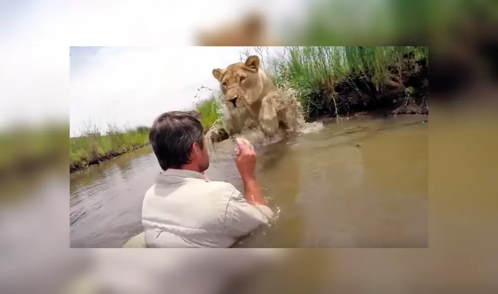 YouTube: Leona reconoce al hombre que le salvó la vida y sorprende con su reacción