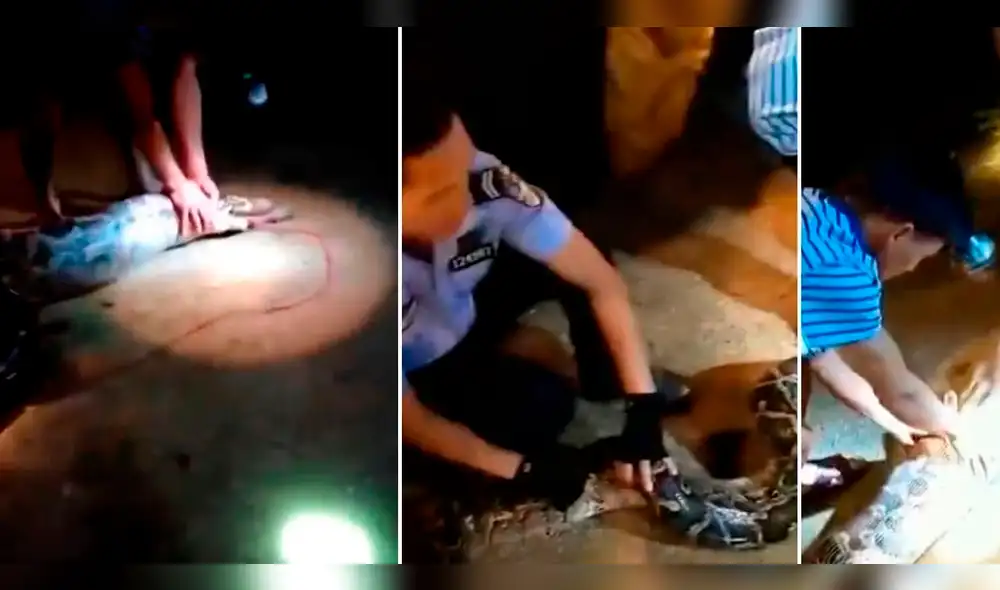 YouTube: descubrió que pitón engullía a su perro, pidió ayuda, y el final fue trágico [VIDEO]