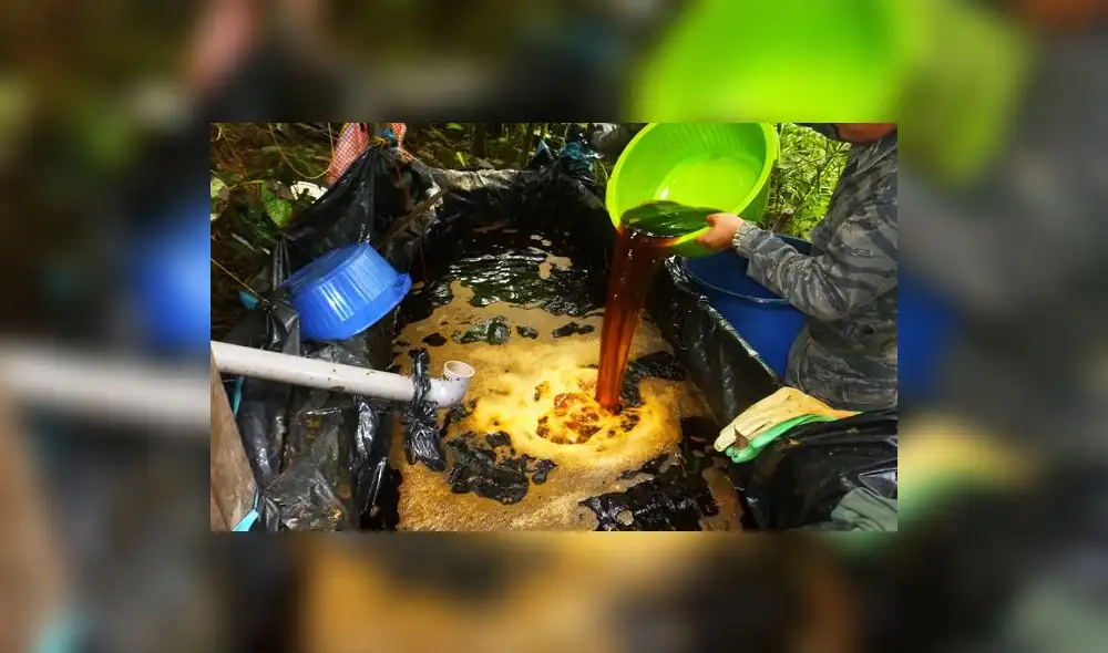 Vraem: Decomisan 44 kilos de alcaloide de cocaína y destruyen poza de maceración