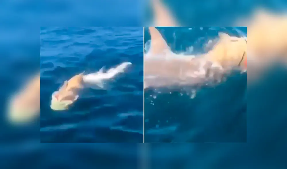 Desliza para ver los momentos más impactantes del video que se hizo viral en Facebook.