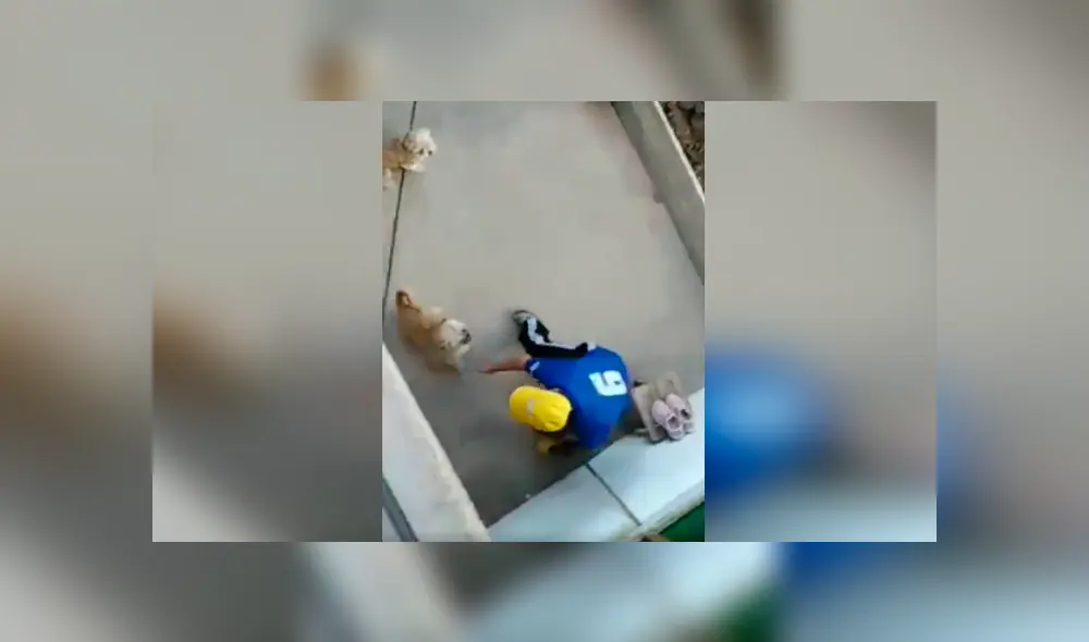 Desliza las imágenes para observar el amoroso momento entre un señor junto a las mascotas de su hija. Foto: Captura. Desliza las imágenes para observar el amoroso momento entre un señor junto a las mascotas de su hija. Foto: Captura.