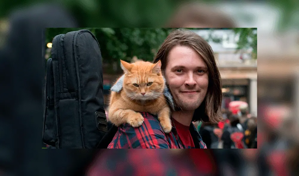 Bob junto a James Bowen, mpusico que se volvió su amigo inseparable en 2007. Foto: StreetCatBob / Facebook. Bob junto a James Bowen, mpusico que se volvió su amigo inseparable en 2007. Foto: StreetCatBob / Facebook.