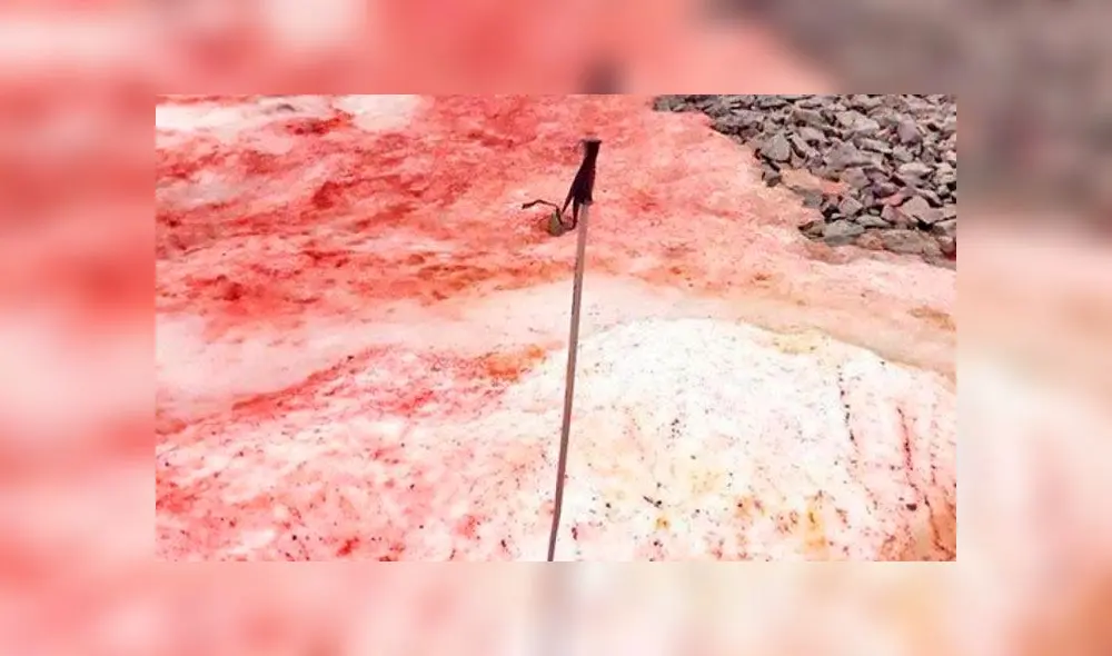 Cada vez hay más demostraciones en el mundo de los efectos del cambio climático. Foto: Ministerio de Educación y Ciencia de Ucrania