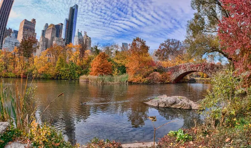 Desliza las imágenes para ver cómo luce el parque que aparece en Mi pobre angelito 2. Foto: captura de Google Maps Desliza las imágenes para ver cómo luce el parque que aparece en Mi pobre angelito 2. Foto: captura de Google Maps