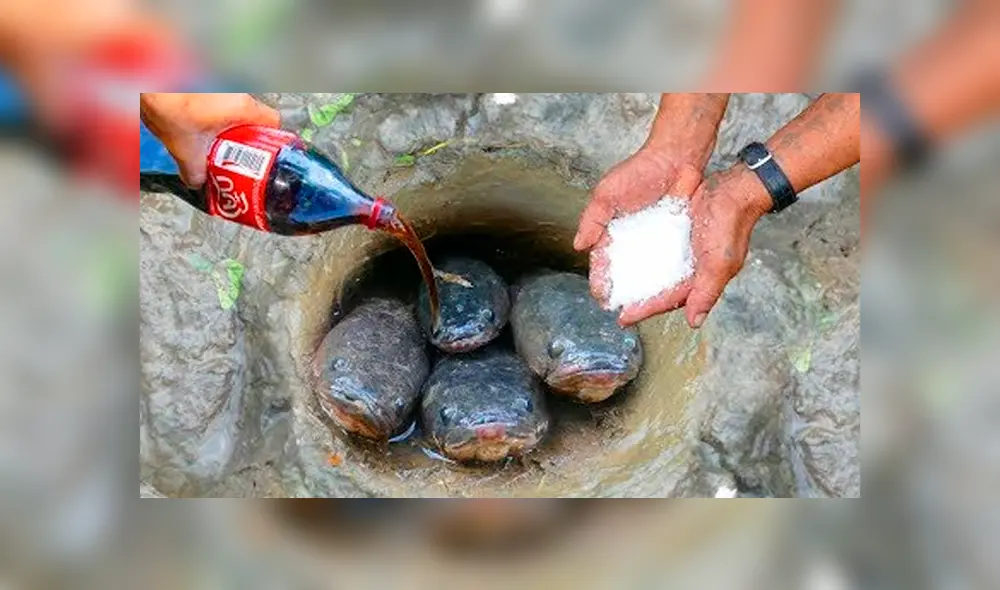 Desliza hacia la izquierda para ver el experimento con Coca Cola que se ha vuelto viral en YouTube. Desliza hacia la izquierda para ver el experimento con Coca Cola que se ha vuelto viral en YouTube.
