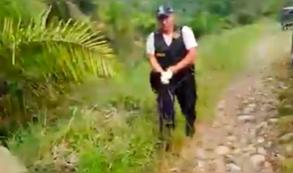 Foto: captura/Diario Amanecer