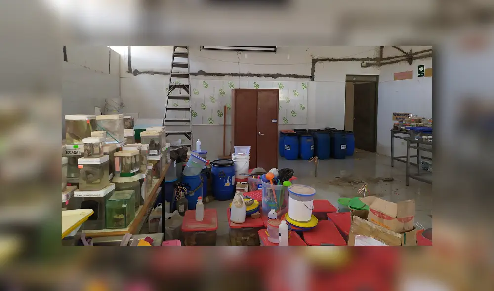 Sunedu: las sedes de la UAP lucían así cuando fueron inspeccionadas [FOTOS]