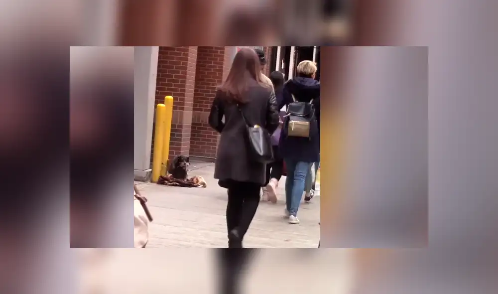 Desliza hacia la izquierda para ver más del video viral