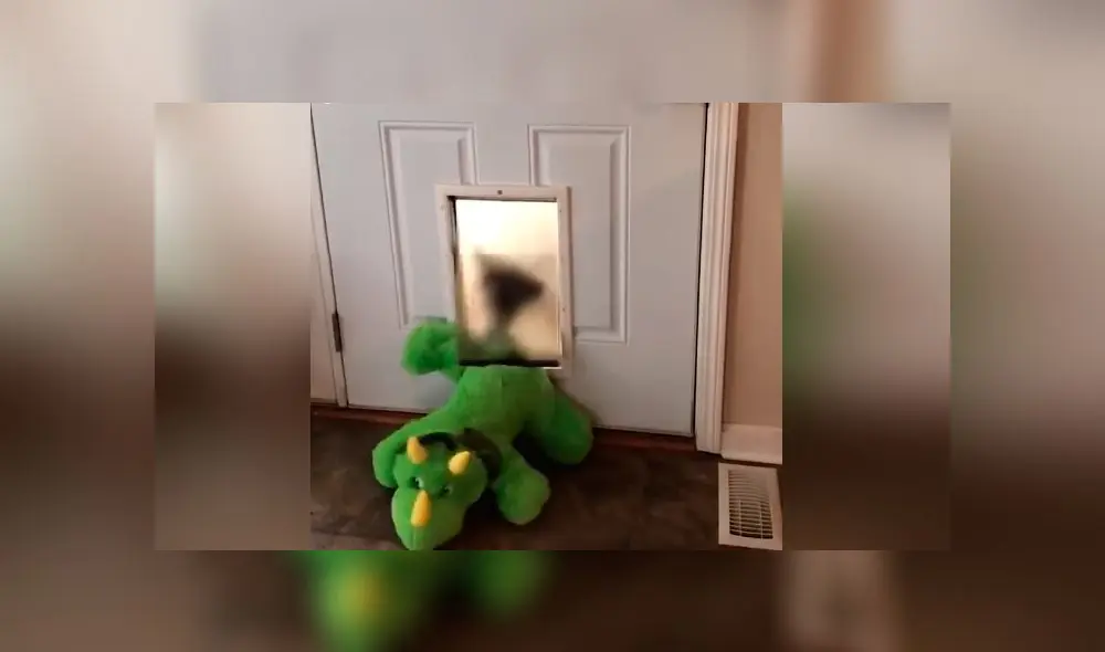 Desliza las imágenes para ver la furiosa reacción de un perro celoso al ver a la nueva 'mascota' de su dueña. Foto: Woof Woof Desliza las imágenes para ver la furiosa reacción de un perro celoso al ver a la nueva 'mascota' de su dueña. Foto: Woof Woof