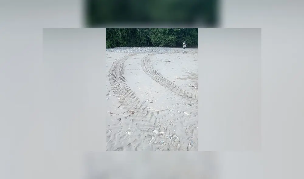 Huellas de trocheros en la Reserva Comunal Amarakaeri. Foto. Kelly Patiachi. Huellas de trocheros en la Reserva Comunal Amarakaeri. Foto. Kelly Patiachi.