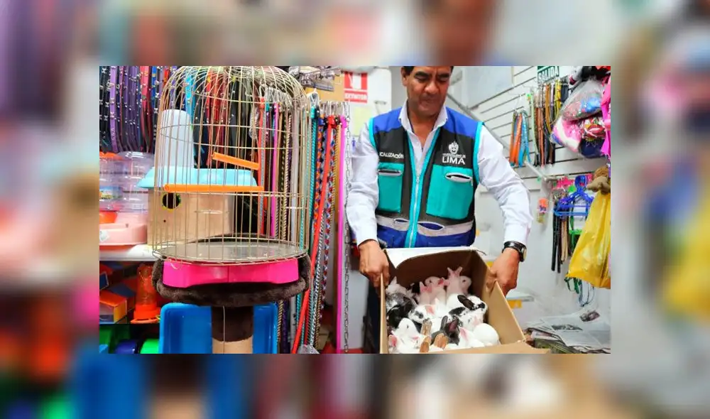 Créditos: Municipalidad de Lima. Créditos: Municipalidad de Lima.