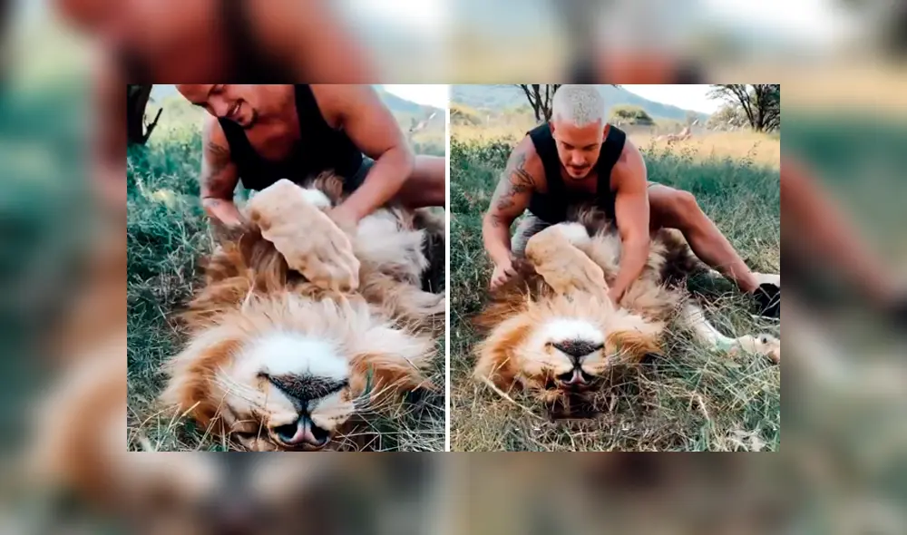Desliza hacia la izquierda para ver la tierna escena de Facebook protagonizada por un cuidador de leones.