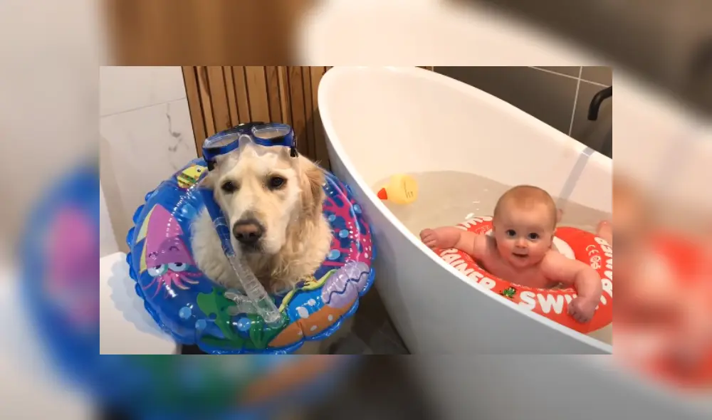 Desliza las imágenes para ver más detalles de esta peculiar escena que es viral en YouTube. Desliza las imágenes para ver más detalles de esta peculiar escena que es viral en YouTube.