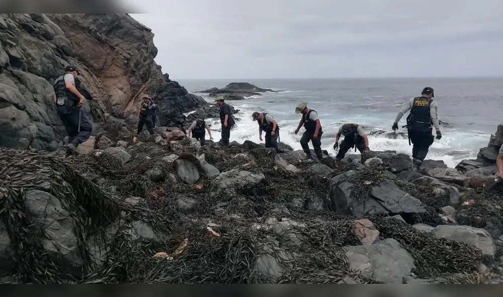 En operativo decomisan 3500 kilos de algas marinas extraídas de forma ilegal en Arequipa [FOTOS]