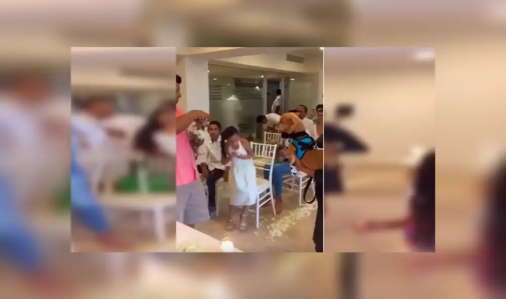 En YouTube, unos jóvenes decidieron unir a sus queridas mascotas en matrimonio y organizaron una especial ceremonia. En YouTube, unos jóvenes decidieron unir a sus queridas mascotas en matrimonio y organizaron una especial ceremonia.