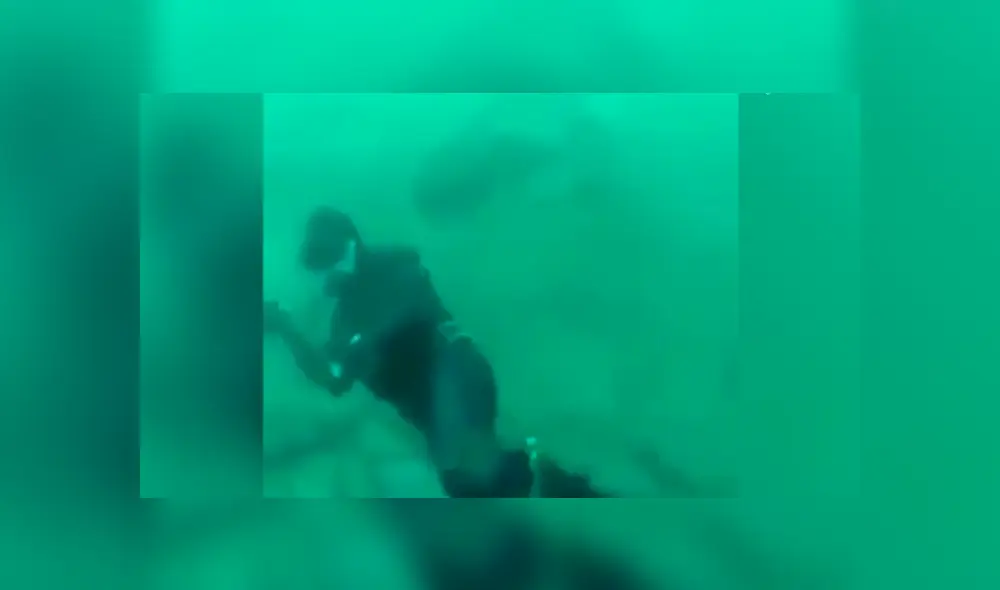 Vía Facebook. Un buzo se encontraba en el fondo del océano, sin imaginar que un feroz tiburón lo estaba acechando.