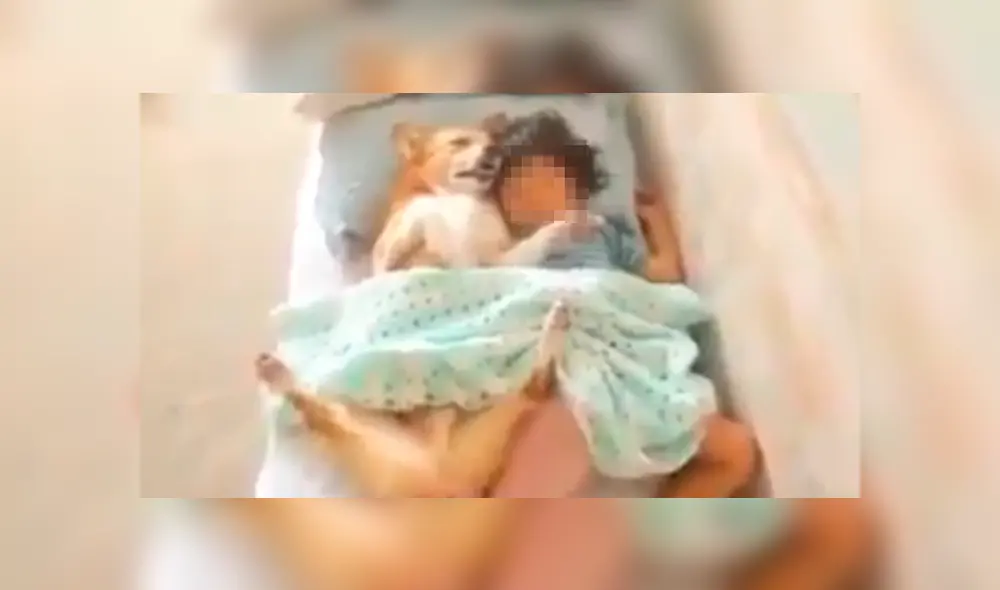 Desliza las imágenes hacia la izquierda para apreciar la emotiva escena entre una niña junto a su perro. Desliza las imágenes hacia la izquierda para apreciar la emotiva escena entre una niña junto a su perro.
