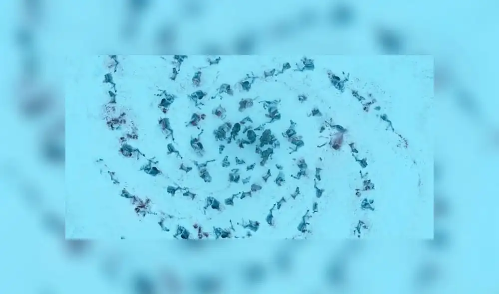 Game of Thrones: Este es el oscuro significado del espiral que dejó el Rey de la Noche [SPOILERS]