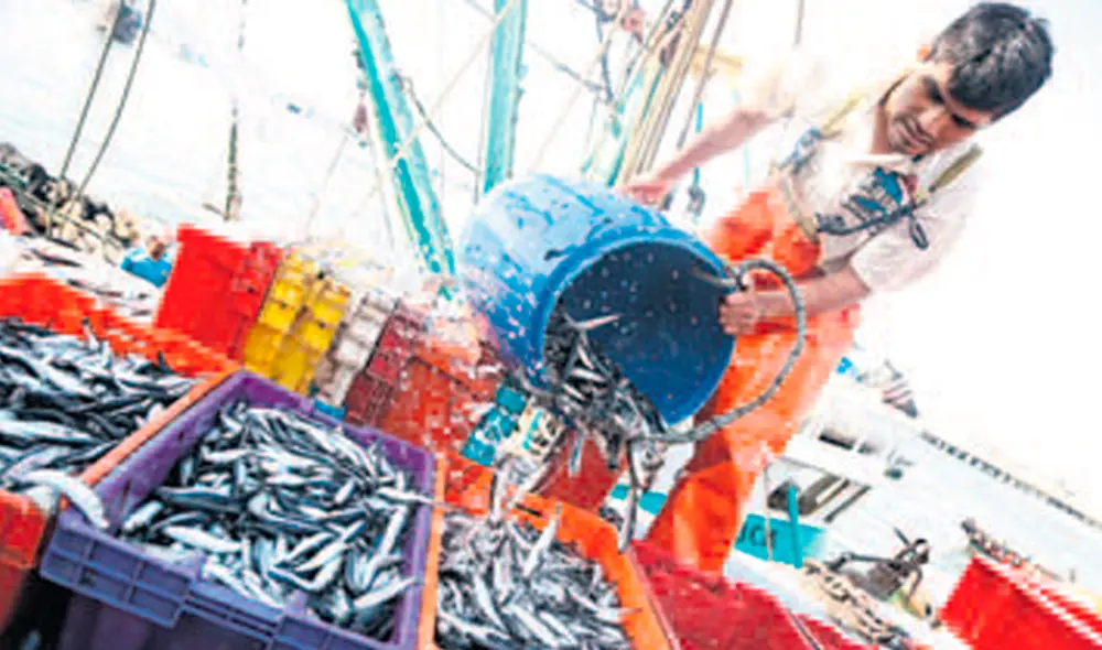 Recursos. Captura de anchoveta para el procesamiento de harina y aceite de pescado. Recursos. Captura de anchoveta para el procesamiento de harina y aceite de pescado.