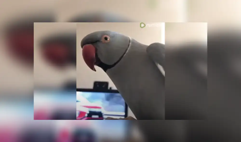 Desliza las imágenes para ver más detalles de esta escena que es viral en YouTube. Desliza las imágenes para ver más detalles de esta escena que es viral en YouTube.